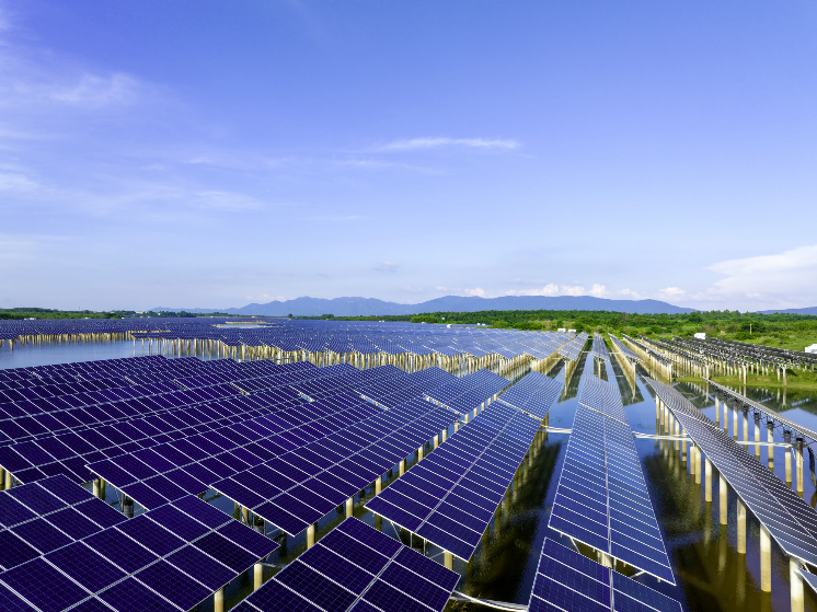 Welad Essouk August 2025 - 2